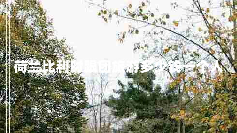 荷蘭比利時跟團旅游多少錢一個人