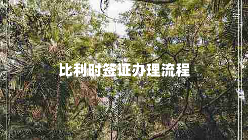 比利時(shí)簽證辦理流程