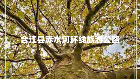 合江縣赤水河環(huán)線旅游公路 合江縣赤水河環(huán)線旅游公路