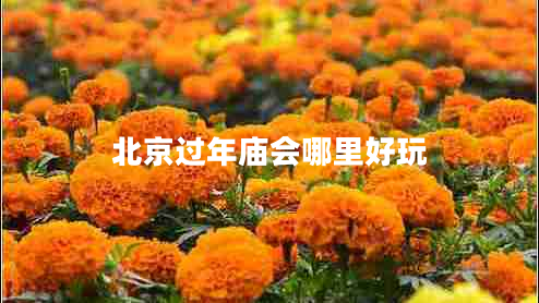 北京過年廟會哪里好玩 北京過年廟會哪里好玩