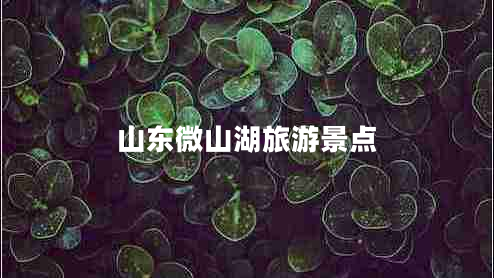 山東微山湖旅游景點(diǎn) 山東微山湖旅游景點(diǎn)