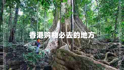 香港購物必去的地方