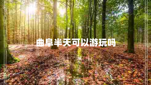 曲阜半天可以游玩嗎