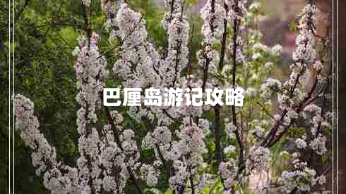 巴厘島游記攻略