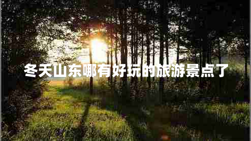 冬天山東哪有好玩的旅游景點了