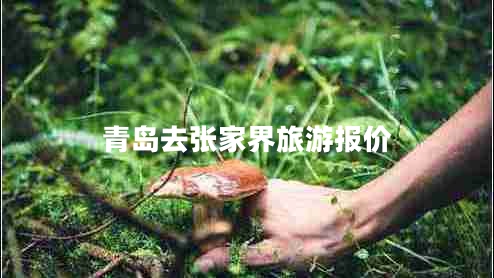 青島去張家界旅游報價