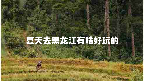 夏天去黑龍江有啥好玩的
