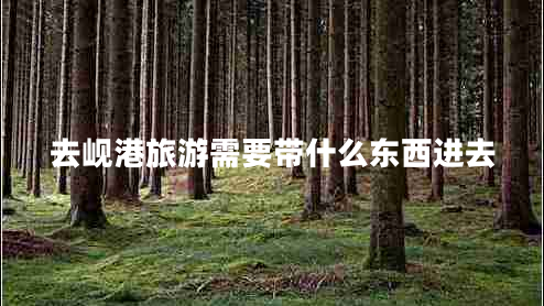 去峴港旅游需要帶什么東西進(jìn)去