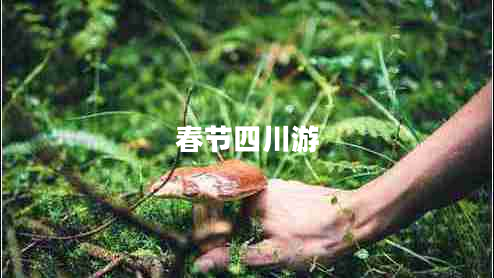 春節(jié)四川游