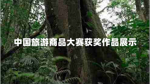 中國旅游商品大賽獲獎(jiǎng)作品展示