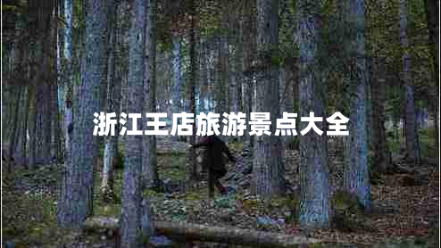 浙江王店旅游景點大全