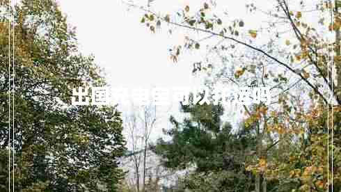 出國(guó)充電寶可以托運(yùn)嗎