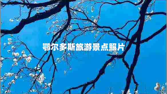 鄂爾多斯旅游景點(diǎn)照片