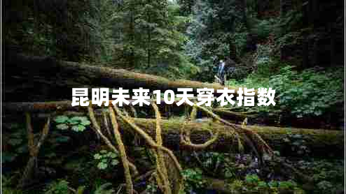 昆明未來10天穿衣指數(shù)