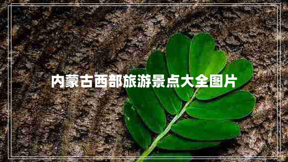 內蒙古西部旅游景點大全圖片