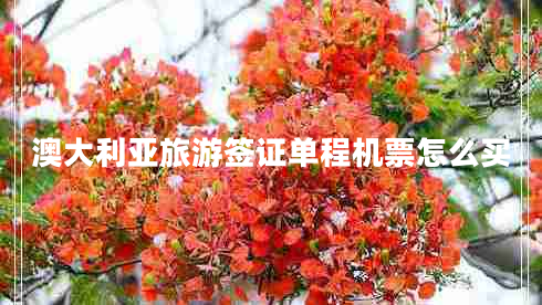 澳大利亞旅游簽證單程機票怎么買