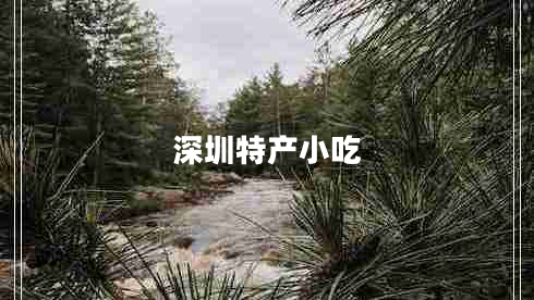 深圳特產小吃