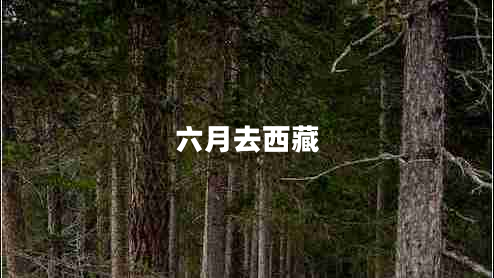 六月去西藏 六月去西藏