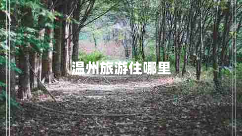 溫州旅游住哪里