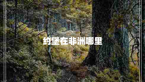 約堡在非洲哪里