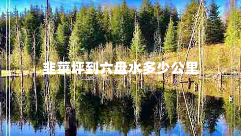 韭菜坪到六盤水多少公里