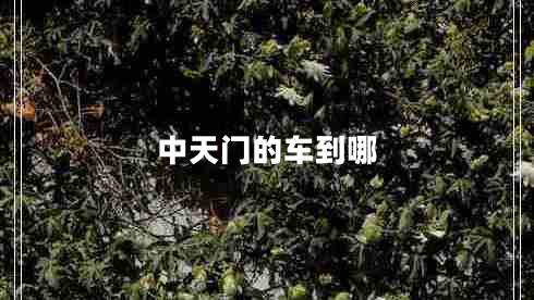 中天門的車到哪 中天門的車到哪