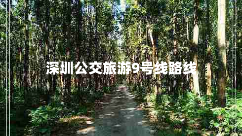深圳公交旅游9號線路線