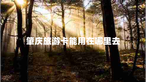 肇慶旅游卡能用在哪里去