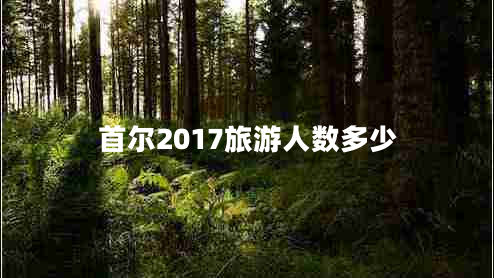 首爾2017旅游人數(shù)多少