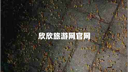 欣欣旅游網(wǎng)官網(wǎng)