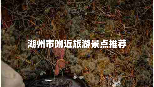 湖州市附近旅游景點推薦