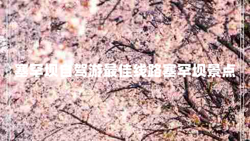 塞罕壩自駕游最佳線路塞罕壩景點(diǎn)