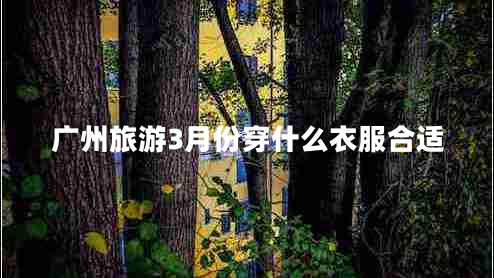廣州旅游3月份穿什么衣服合適 廣州旅游3月份穿什么衣服合適
