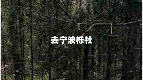 去寧波櫟社 去寧波櫟社