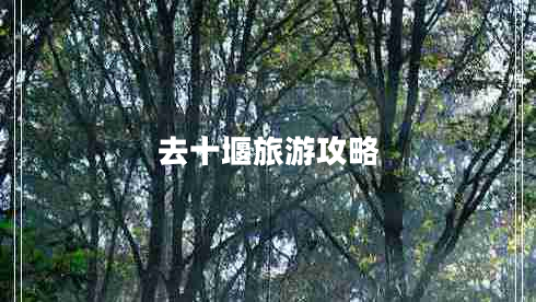 去十堰旅游攻略