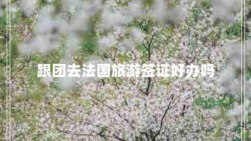 跟團(tuán)去法國旅游簽證好辦嗎