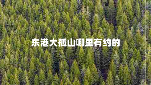 東港大孤山哪里有約的