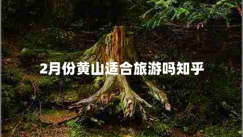 2月份黃山適合旅游嗎知乎