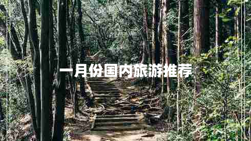 一月份國內(nèi)旅游推薦 一月份國內(nèi)旅游推薦