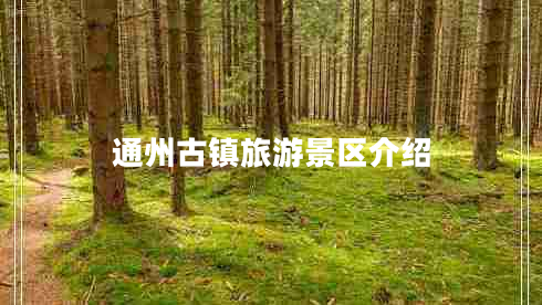 通州古鎮(zhèn)旅游景區(qū)介紹