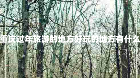 重慶過年旅游的地方好玩的地方有什么