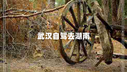 武漢自駕去湖南