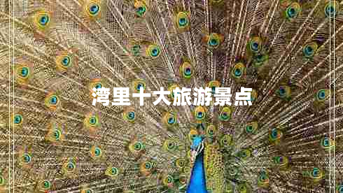 灣里十大旅游景點