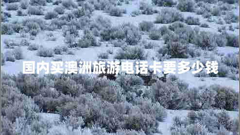 國內(nèi)買澳洲旅游電話卡要多少錢