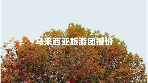 馬來西亞旅游團(tuán)報(bào)價(jià) 馬來西亞旅游團(tuán)報(bào)價(jià)