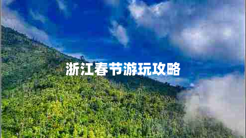 浙江春節(jié)游玩攻略 浙江春節(jié)游玩攻略