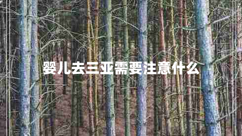 嬰兒去三亞需要注意什么 嬰兒去三亞需要注意什么