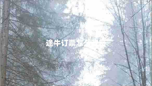 途牛訂票怎么改簽