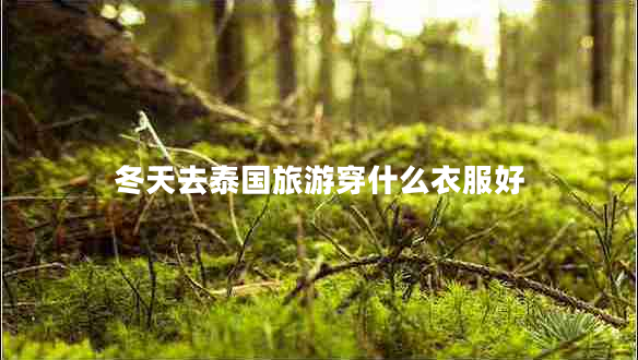 冬天去泰國旅游穿什么衣服好