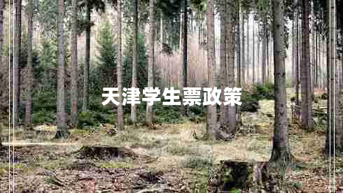 天津?qū)W生票政策